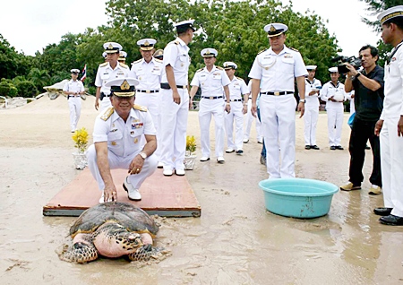 Adm. Narong Thesvikaal, commander of the Royal Thai Fleet, presides over the release of a female green turtle it has nursed for 12 years.